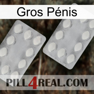 Gros Pénis 17